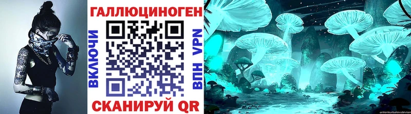 Купить закладки  Судак  Галлюциногенные грибы Cubensis 